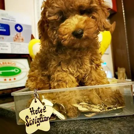 Ξενοδοχείο Siviglia 3*